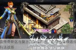 热血传奇新区与复古区深度对比，如何选择最适合你的玛法战场